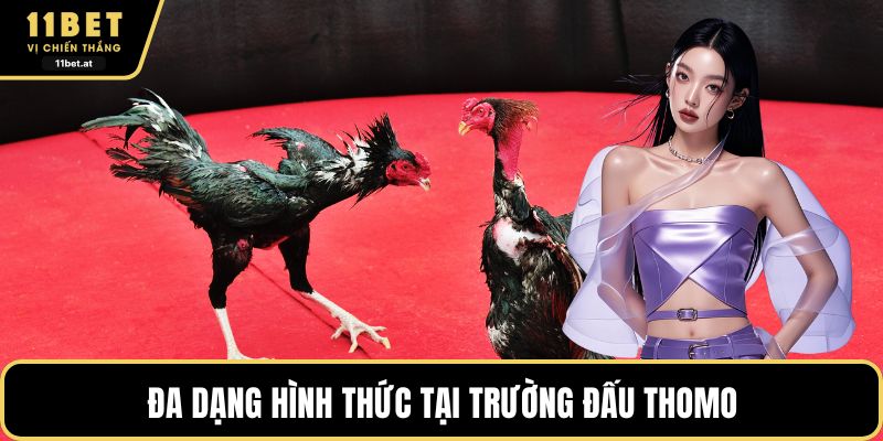 Đa dạng hình thức tại trường đấu Thomo