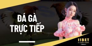 Đá gà trực tiếp