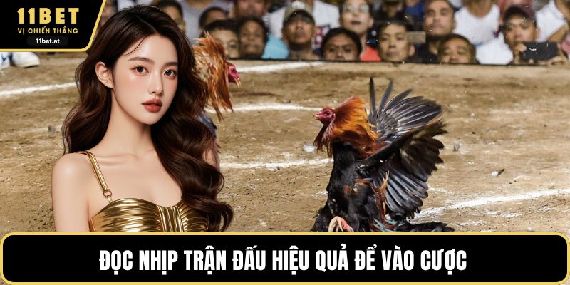 Đọc nhịp trận đấu hiệu quả để vào cược 