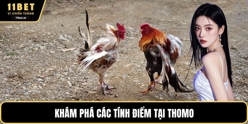 Khám phá các tính điểm tại Thomo