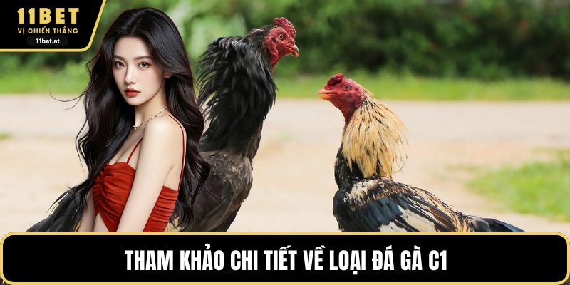 Tham khảo chi tiết về loại đá gà C1 